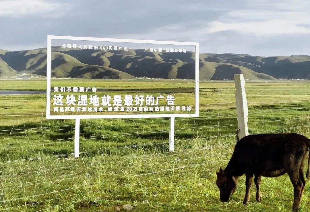 广告人干货库 媒介创新的5种玩法-广告人干货库
