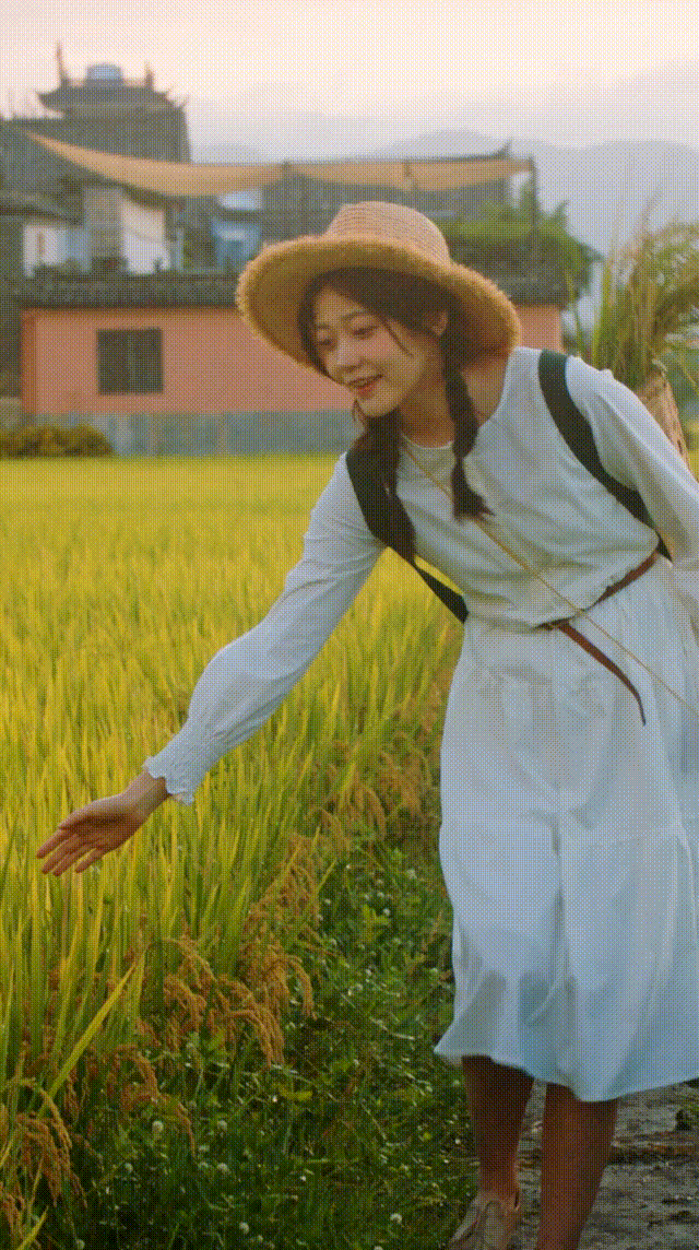 广告人干货库 金投赏银奖案例:小熊电器大地食装秀深度赏析-广告人干货库