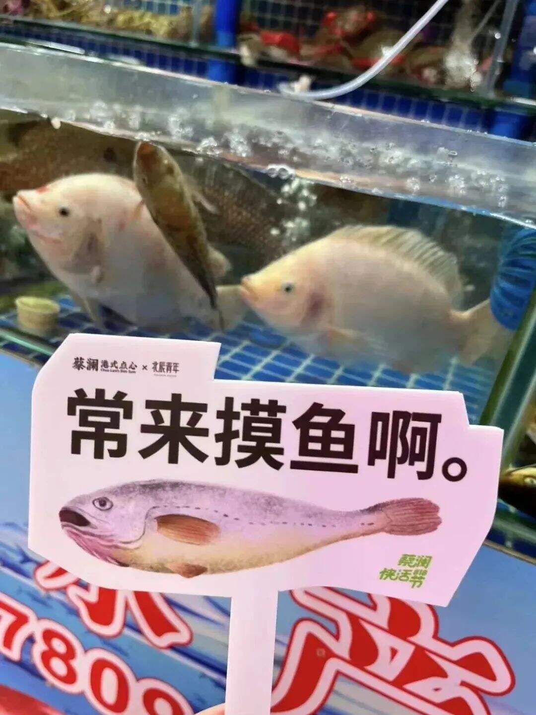 广州菜市场是真会整活！被文案笑鼠了~-广告人干货库