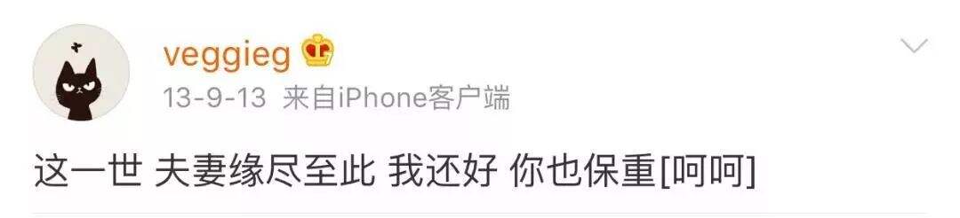 广告人干货库 章子怡汪峰离婚,分手文案来了!-广告人干货库