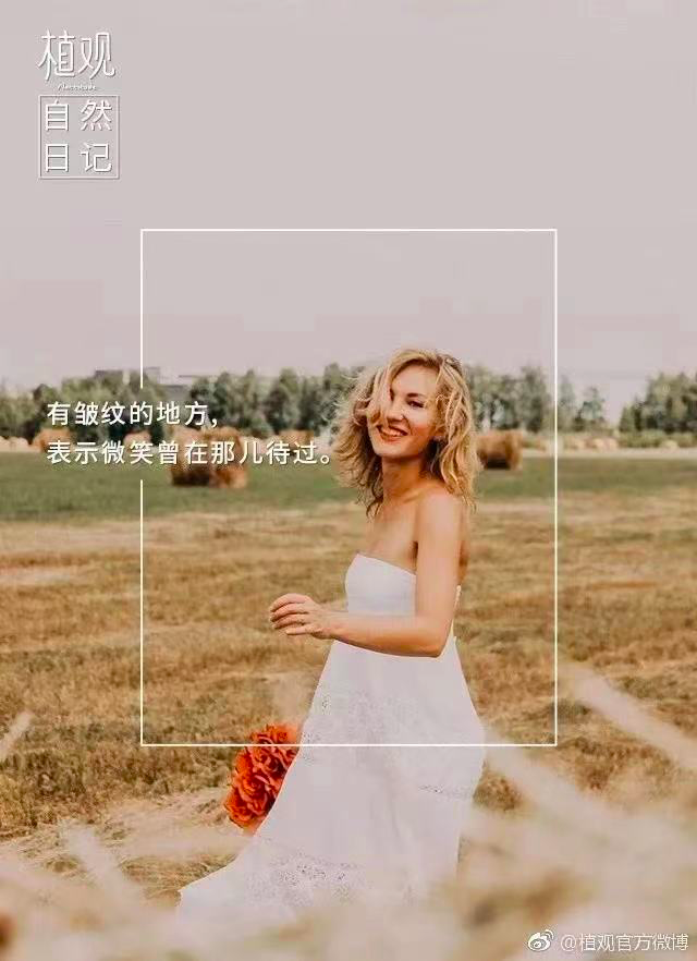 12句话疗文案，极度舒适-广告人干货库