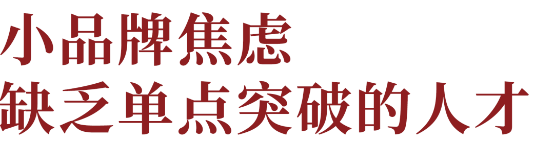 广告人干货库 不存在舒服躺赢的品牌,大小品牌都在焦虑组织-广告人干货库