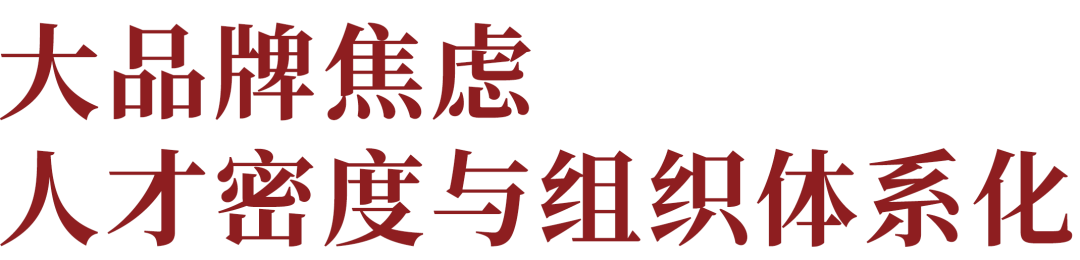 广告人干货库 不存在舒服躺赢的品牌,大小品牌都在焦虑组织-广告人干货库