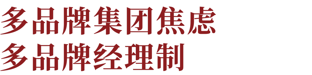 广告人干货库 不存在舒服躺赢的品牌,大小品牌都在焦虑组织-广告人干货库