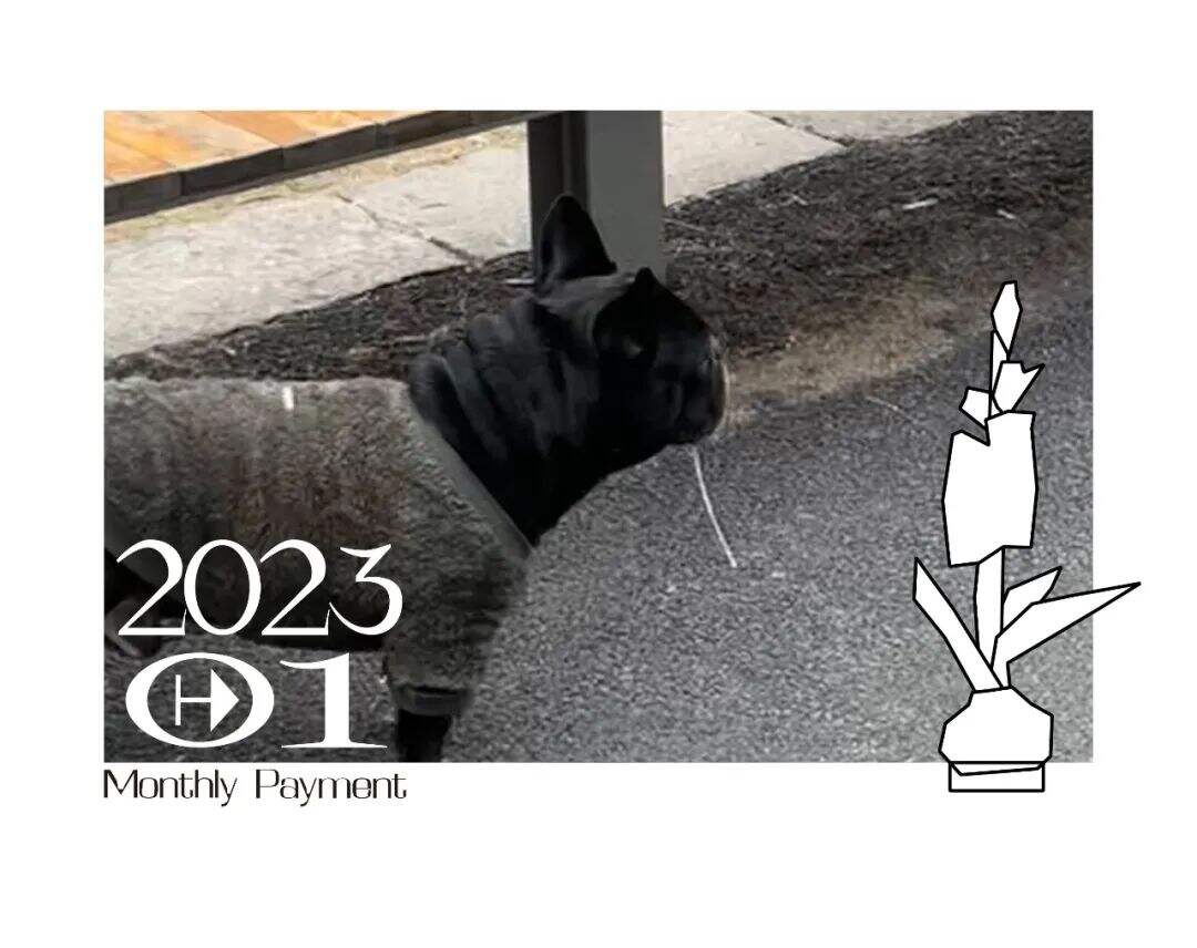 2023团队月供丨一月还贷-广告人干货库