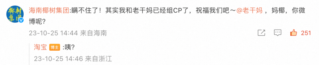 老干妈 x 椰树双11 推新-广告人干货库
