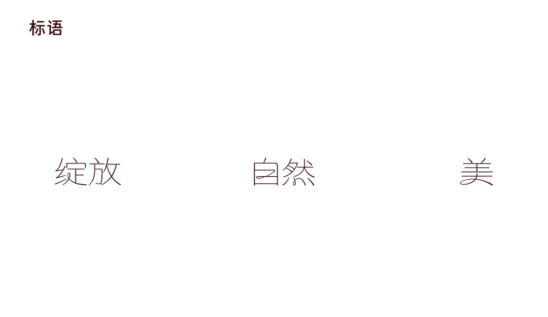 LxU × 美西子 | 人设即品牌——美西子品牌形象升级-广告人干货库