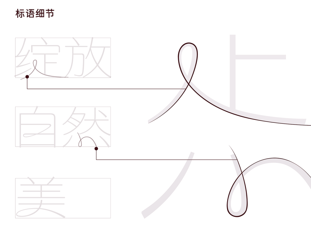 LxU × 美西子 | 人设即品牌——美西子品牌形象升级-广告人干货库