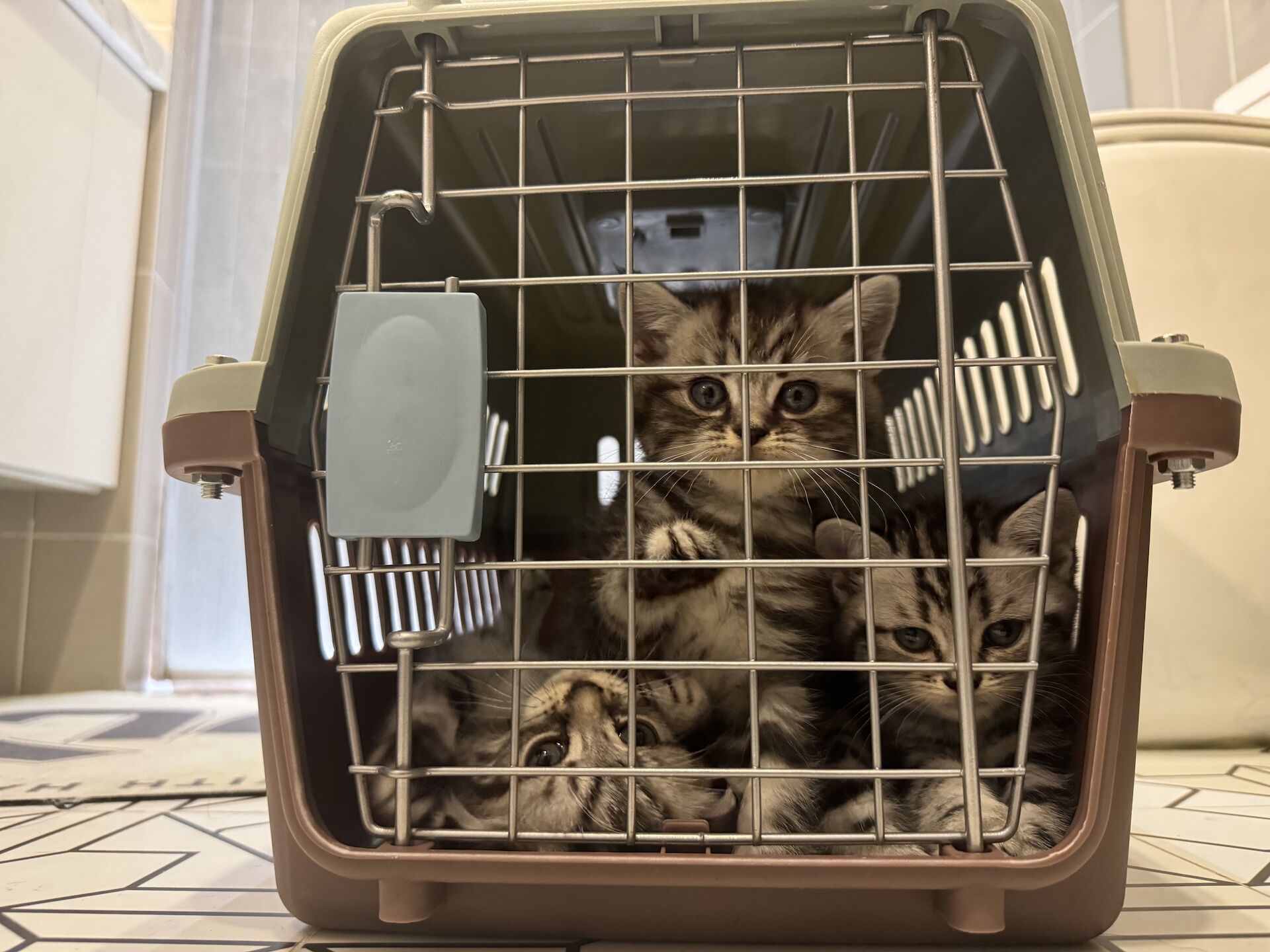 广告人干货库 天猫xB站:一年更新一次的UP主-广告人干货库