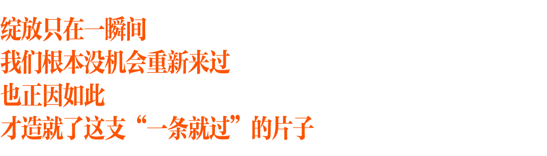 广告人干货库