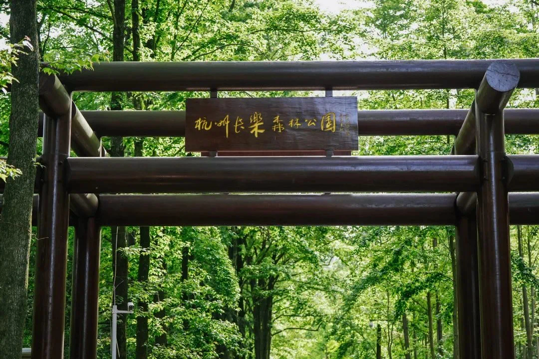 清风：一包纸巾而已，为什么要追求0塑？-广告人干货库