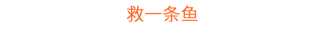 救一条鱼,探索现代品牌叙事之道-广告人干货库