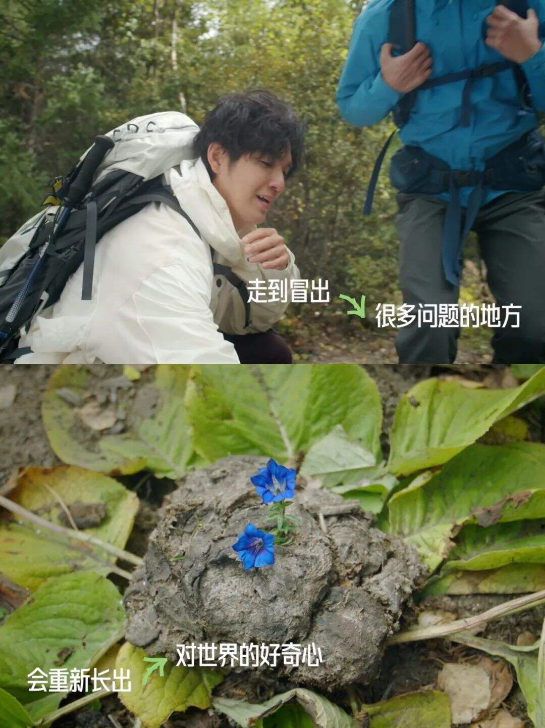 广告人干货库 小红书外人节:自然的入口,是生活的出口-广告人干货库