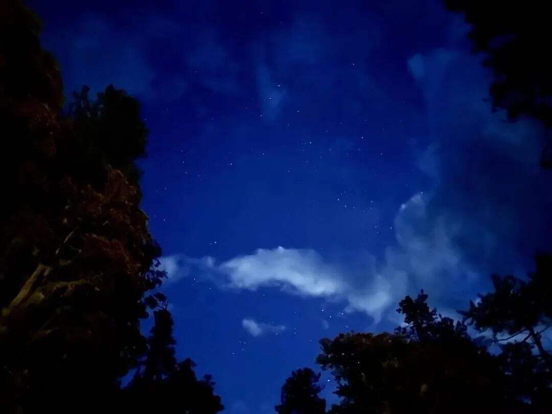 广告人干货库 小红书外人节:自然的入口,是生活的出口-广告人干货库
