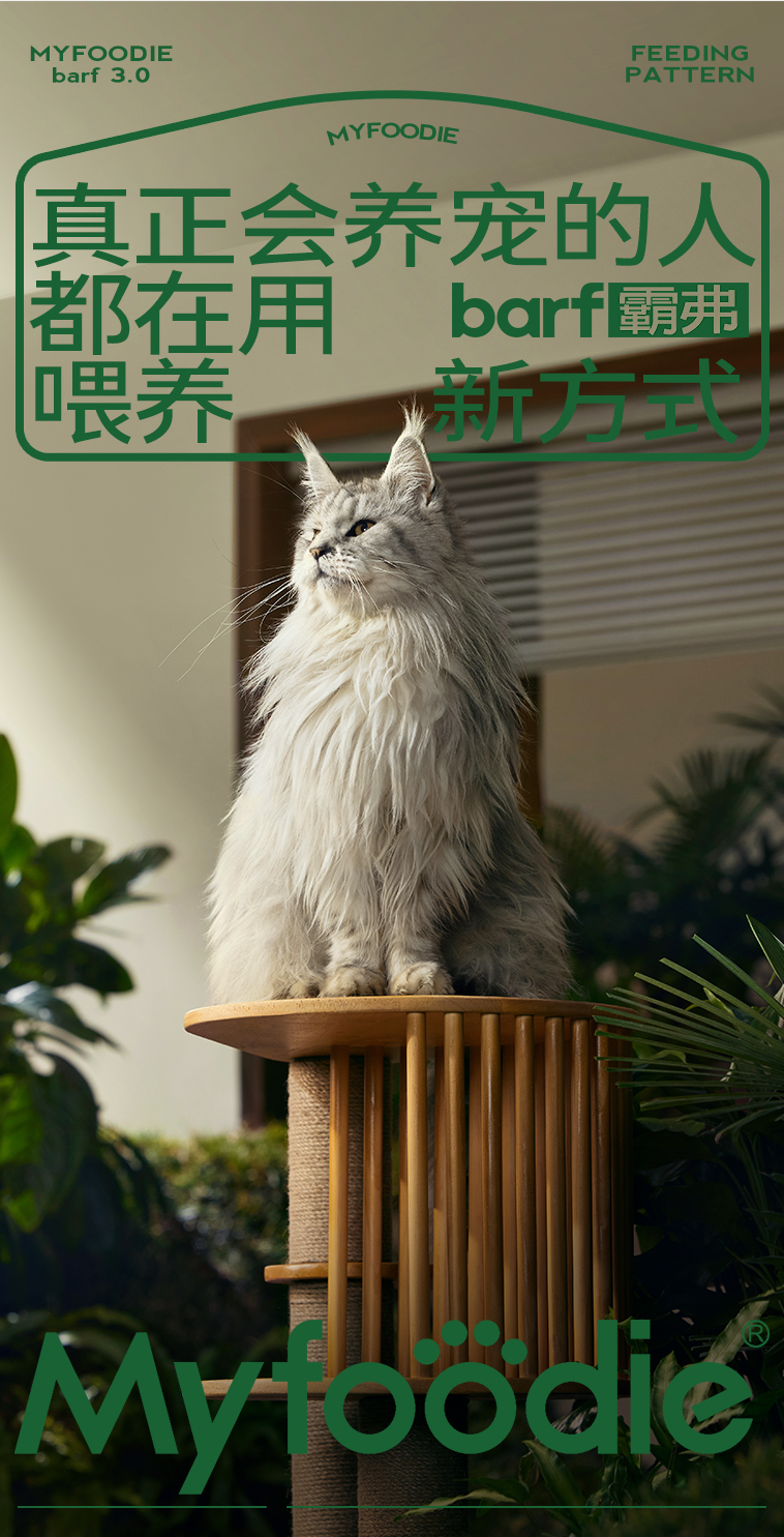 松鼠×麦富迪品牌高端化第一枪，战略核心品线打造超级策略-广告人干货库