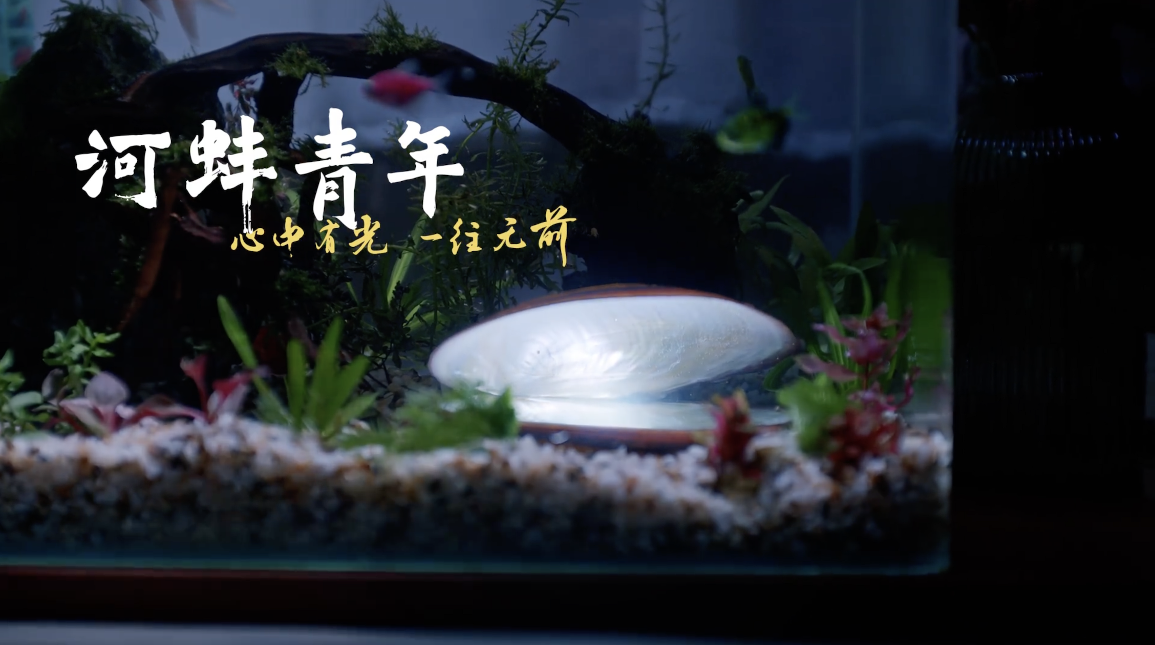 比亚迪让河蚌青年继续养成-广告人干货库
