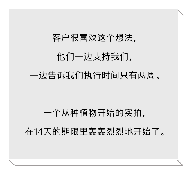 广告人干货库 广告人干货库