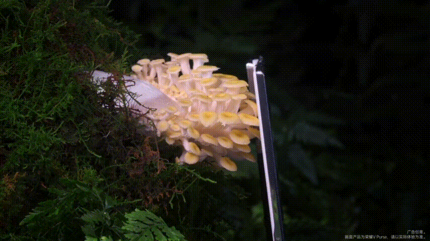 广告人干货库 广告人干货库