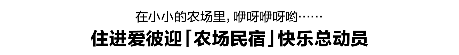 广告人干货库 住进爱彼迎,住进世界的美好-广告人干货库