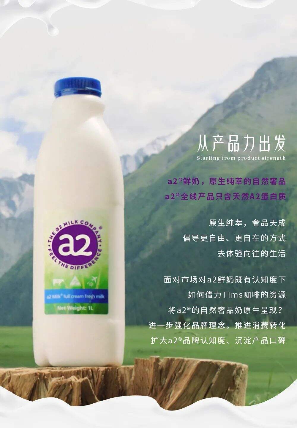 a2×Tims【自然原生艺术咖】｜在自然中，一起放“啡”自我-广告人干货库