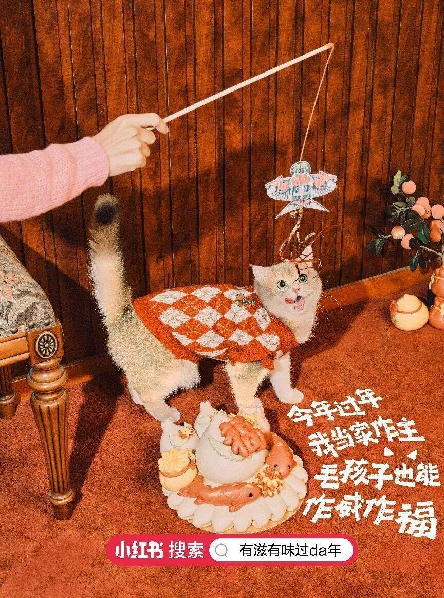 广告人干货库 2024年小红书CNY营销指南,速来收藏!-广告人干货库