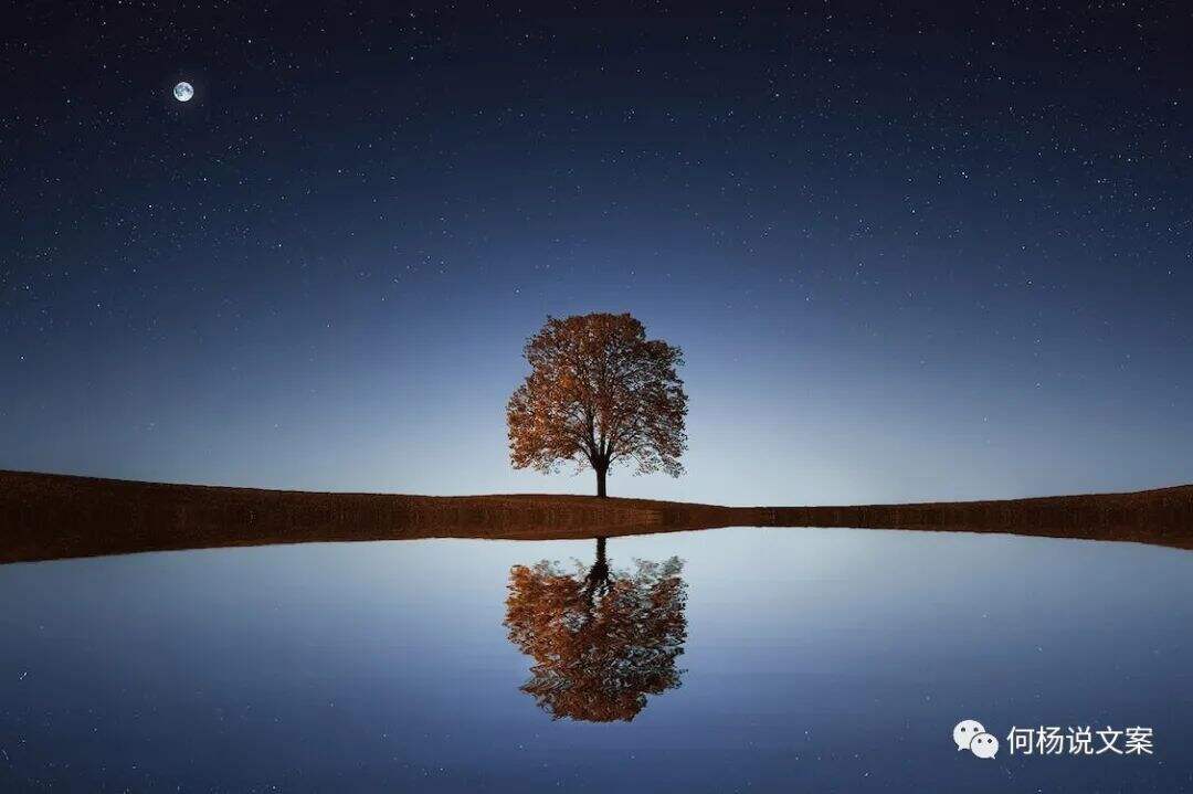 广告人干货库 21个顶尖文案高手写作锦囊-广告人干货库