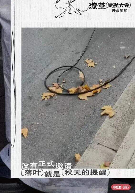 广告人干货库 小红书办了一场潦草赏秋大会,文案松弛感拉满-广告人干货库
