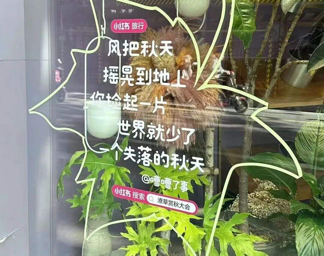 广告人干货库 小红书办了一场潦草赏秋大会,文案松弛感拉满-广告人干货库