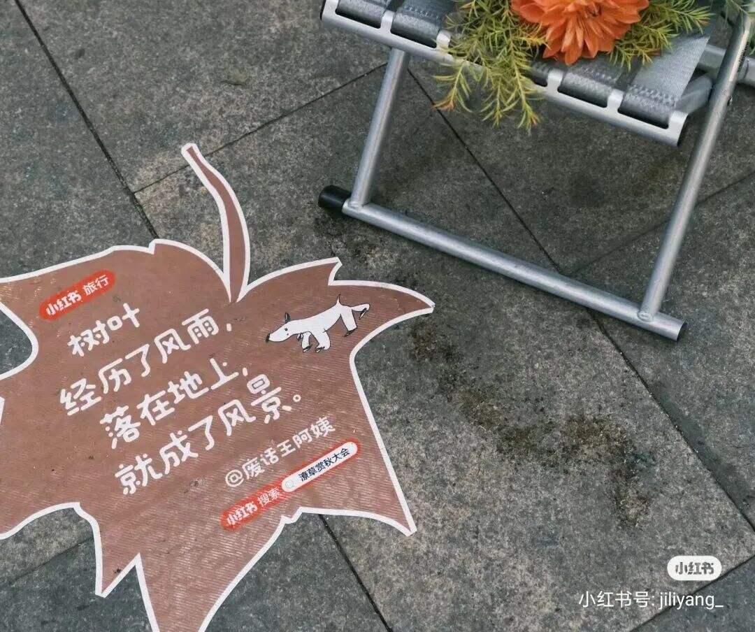 广告人干货库 小红书办了一场潦草赏秋大会,文案松弛感拉满-广告人干货库