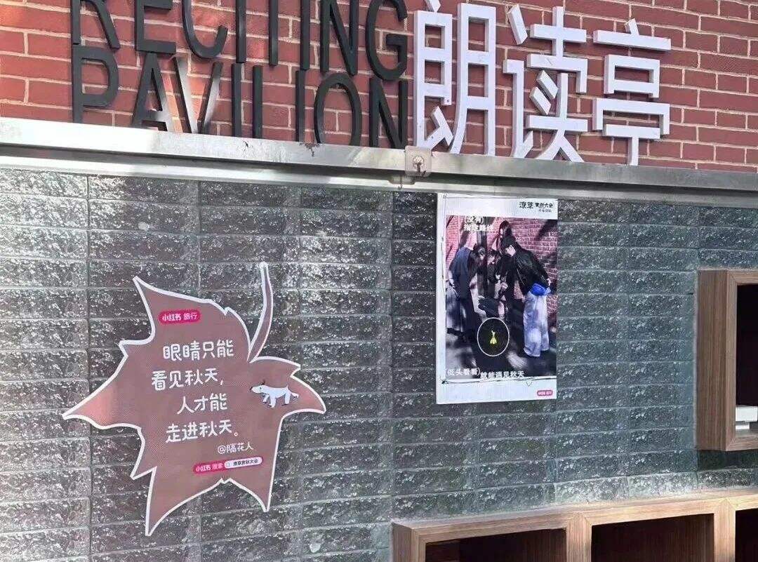 广告人干货库 小红书办了一场潦草赏秋大会,文案松弛感拉满-广告人干货库
