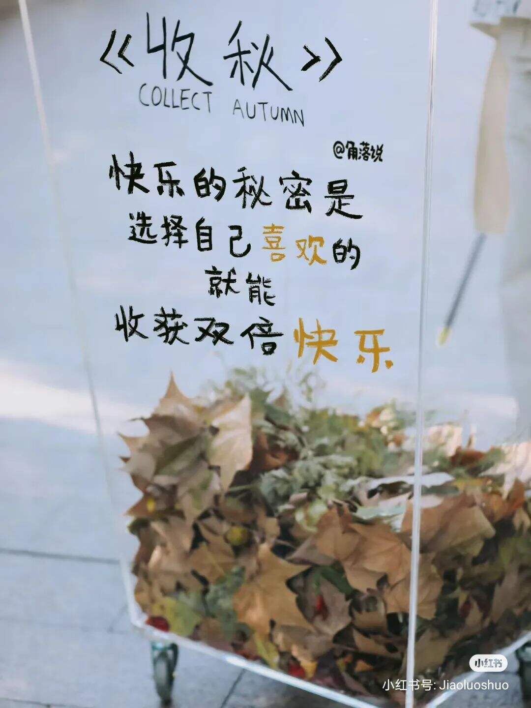 广告人干货库 小红书办了一场潦草赏秋大会,文案松弛感拉满-广告人干货库
