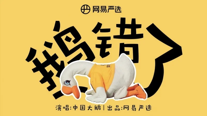 突发!双十一,网易严选道歉了-广告人干货库