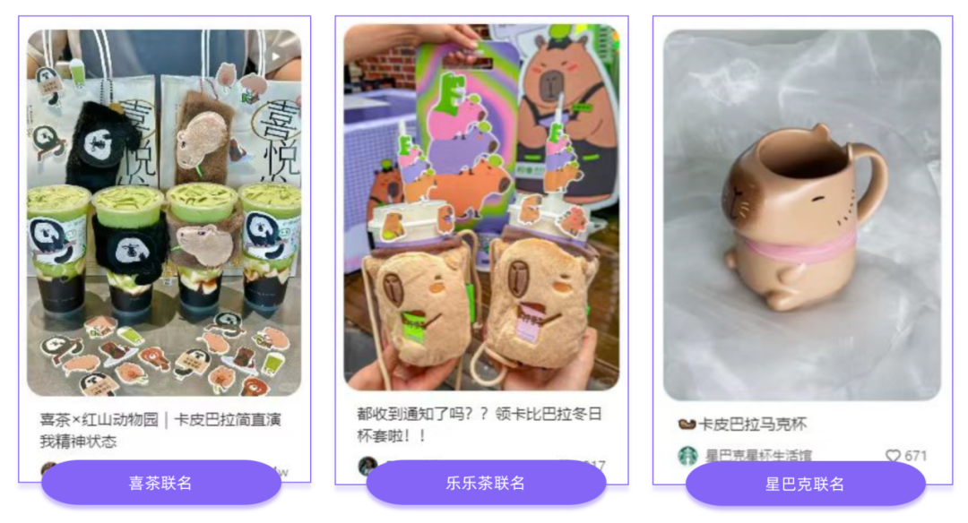 广告人干货库 小红书三大“顶流”捕捉 提炼爆款内容公式-广告人干货库