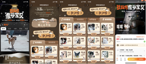 广告人干货库 淘宝×它基金:特殊的「推荐宝贝」,帮小流浪过冬-广告人干货库
