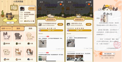 广告人干货库 淘宝×它基金:特殊的「推荐宝贝」,帮小流浪过冬-广告人干货库