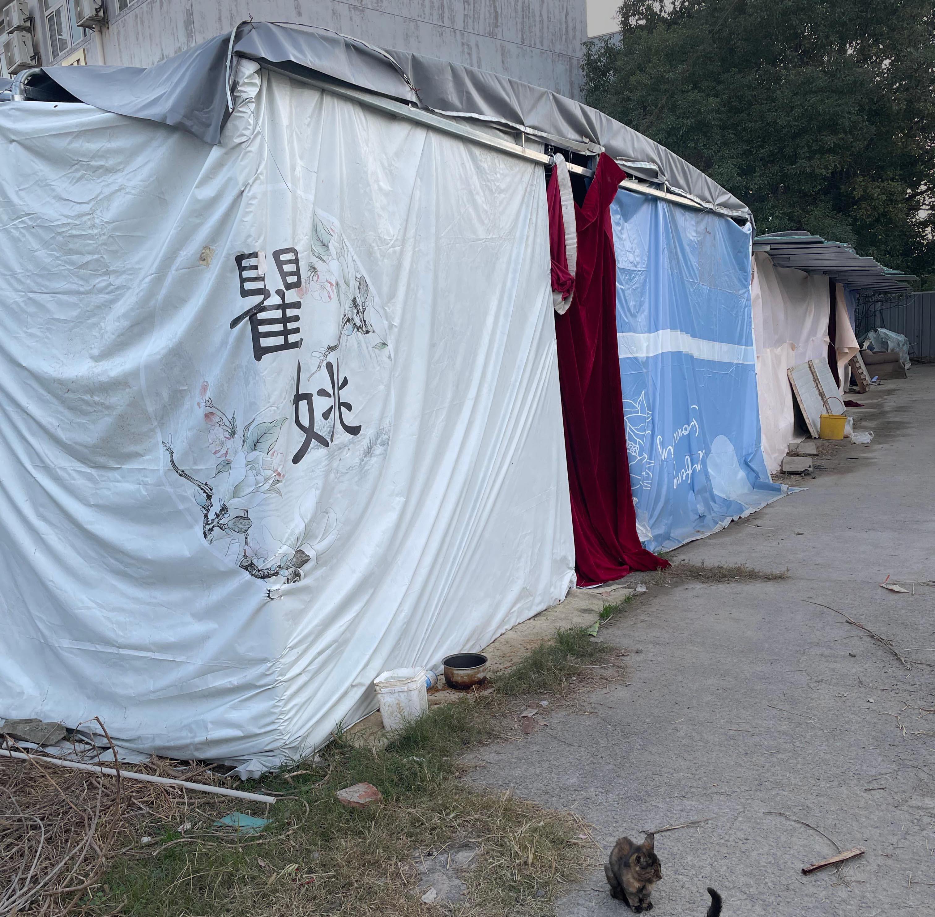 广告人干货库 淘宝×它基金:特殊的「推荐宝贝」,帮小流浪过冬-广告人干货库