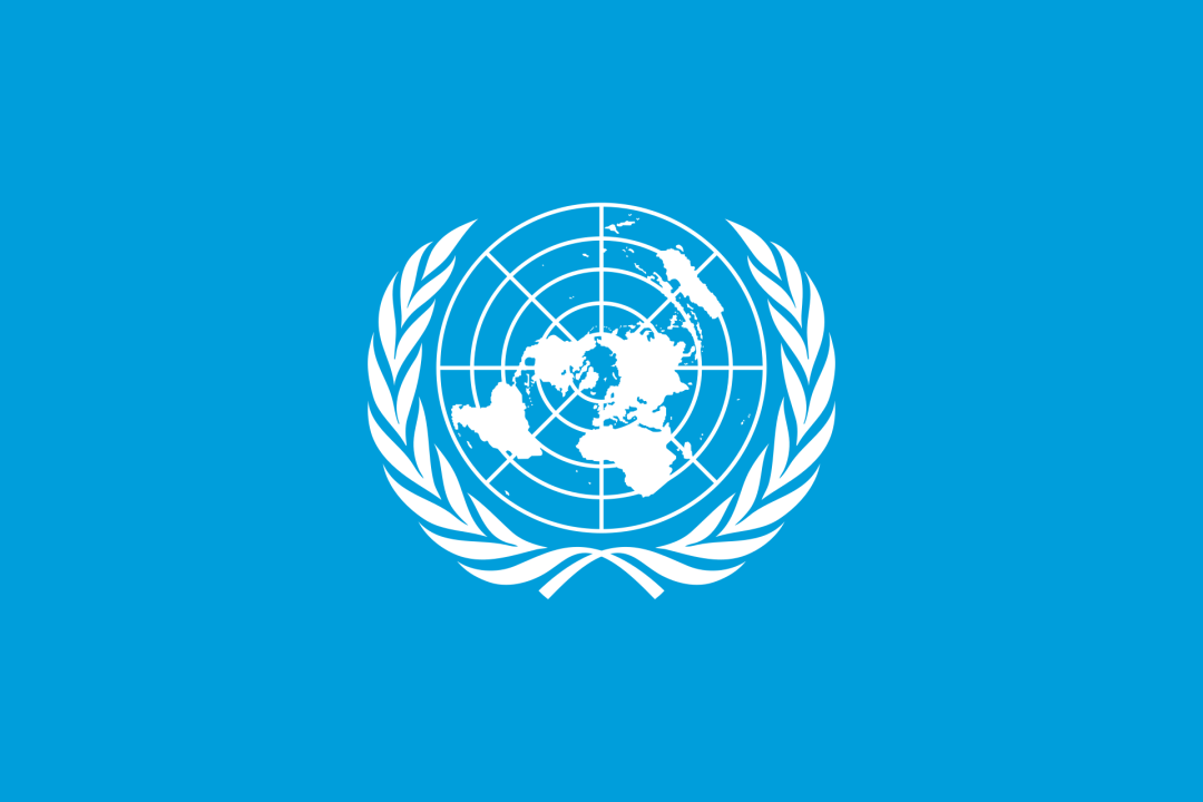 广告人干货库 设计师重新设计了联合国的标志!-广告人干货库