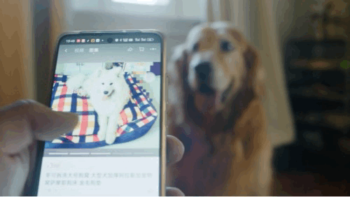 广告人干货库 淘宝:是谁啊,这么秀?!-广告人干货库