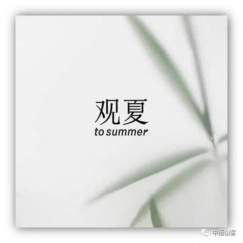 广告人干货库 品牌元素 | 观夏品牌元素分析-广告人干货库