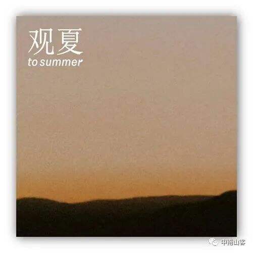 广告人干货库 品牌元素 | 观夏品牌元素分析-广告人干货库