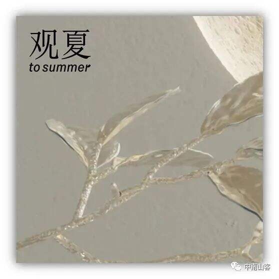 广告人干货库 品牌元素 | 观夏品牌元素分析-广告人干货库