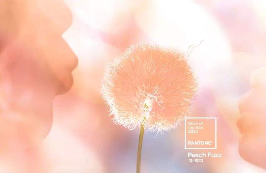 31款使用2024Pantone年度色彩「柔和桃」的包装设计-广告人干货库