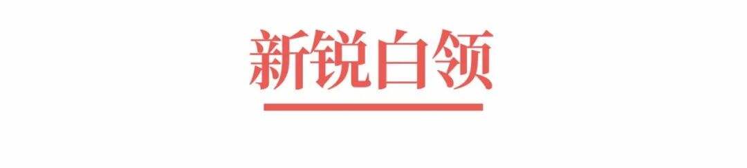 广告人干货库 超级品牌体系36讲之6-战略篇-重新认识消费者-广告人干货库
