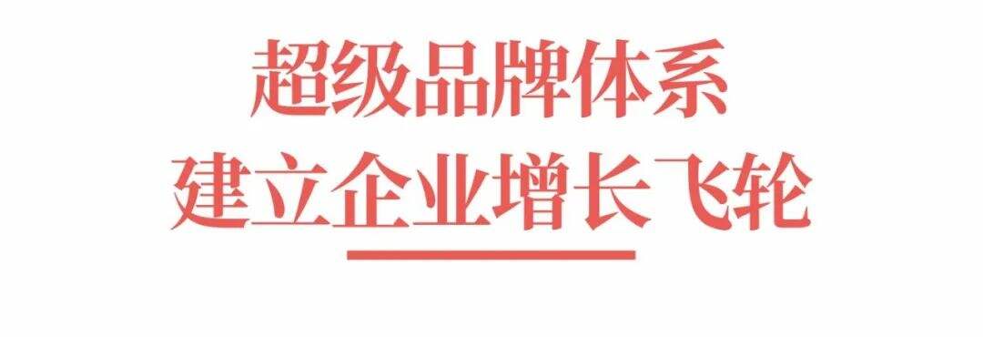 超级品牌体系36讲之9-品牌篇-每一家企业,都需要装上超级品牌体系-广告人干货库