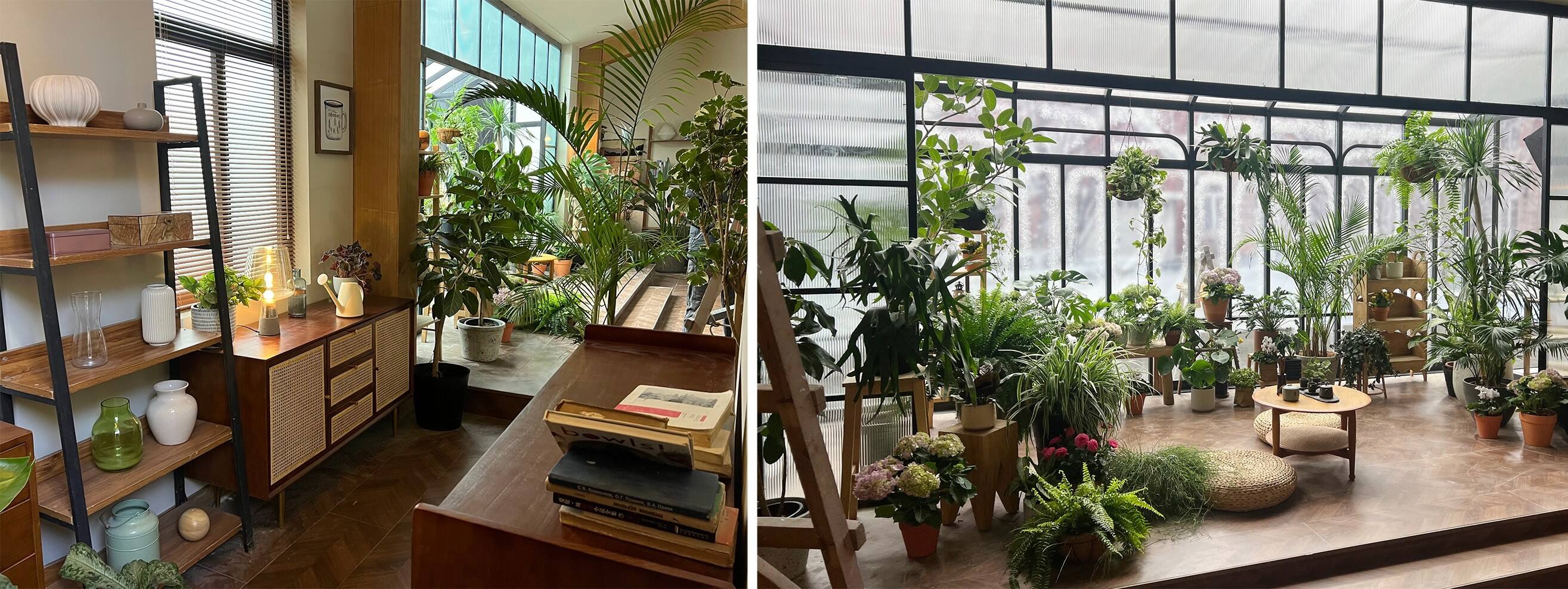广告人干货库 猝不及防的,在这个大雪天被东阿阿胶暖了一下-广告人干货库