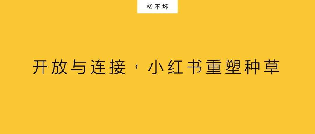 开放与连接,小红书重塑种草-广告人干货库