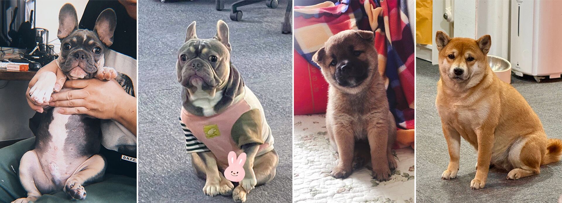 广告人干货库 广告人干货库