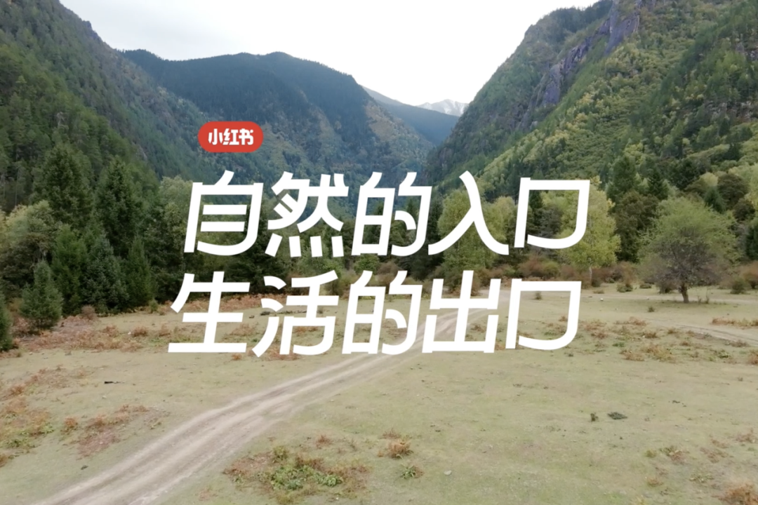 广告人干货库 2023十大动情广告盘点-广告人干货库
