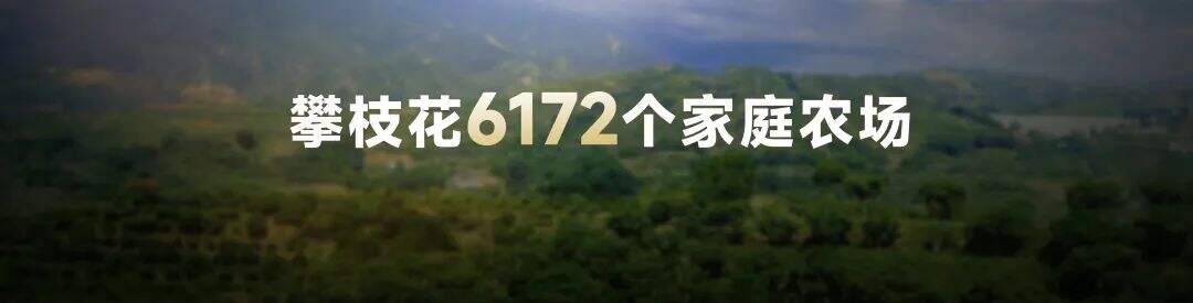 广告人干货库 罗振宇2024跨年演讲全文:别让这个世界对我们完全得手-广告人干货库