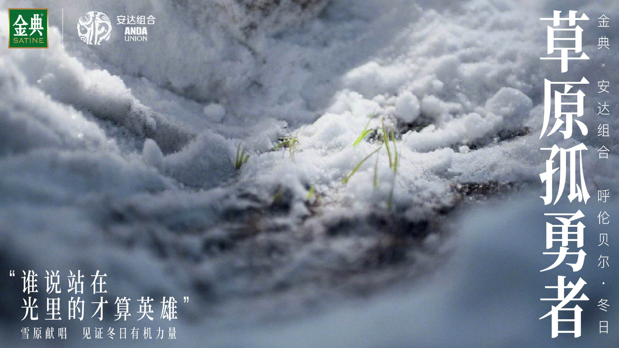 金典×安达-这才是呼伦贝尔的冬日草原-广告人干货库
